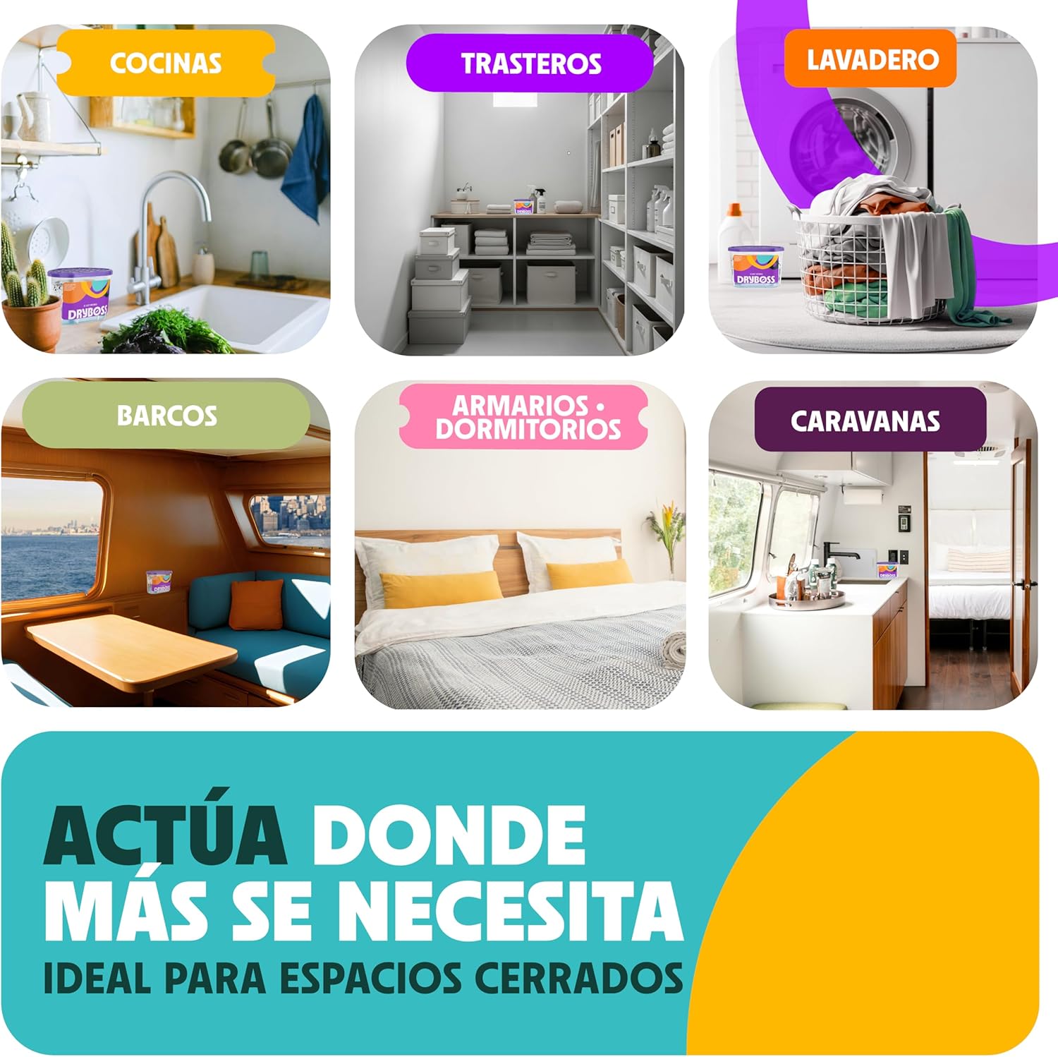 DRYBOSS tercera imagen