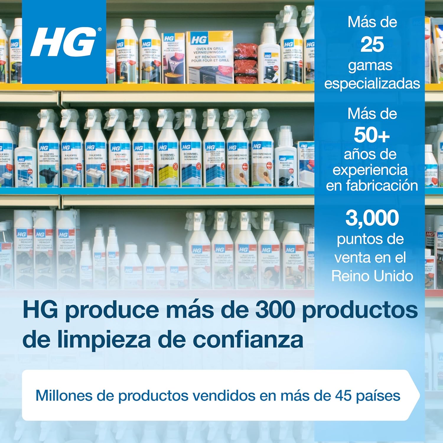 Miniatura HG Spray Antimoho 3