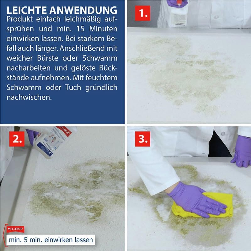 Miniatura Mellerud Spray Antimoho 3